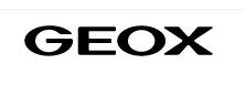 Geox IT Logo